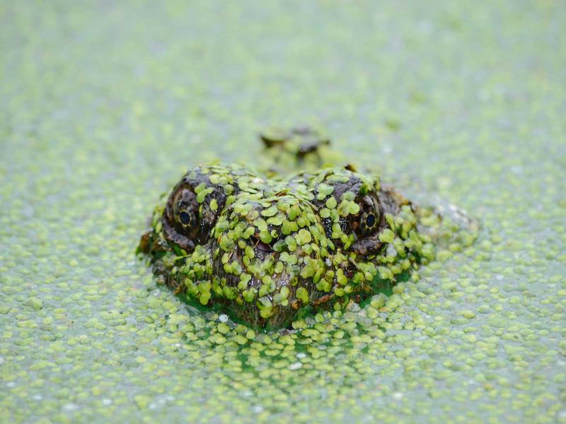 数字游民<br>lyd4nhjn.cn 四海为家护照
